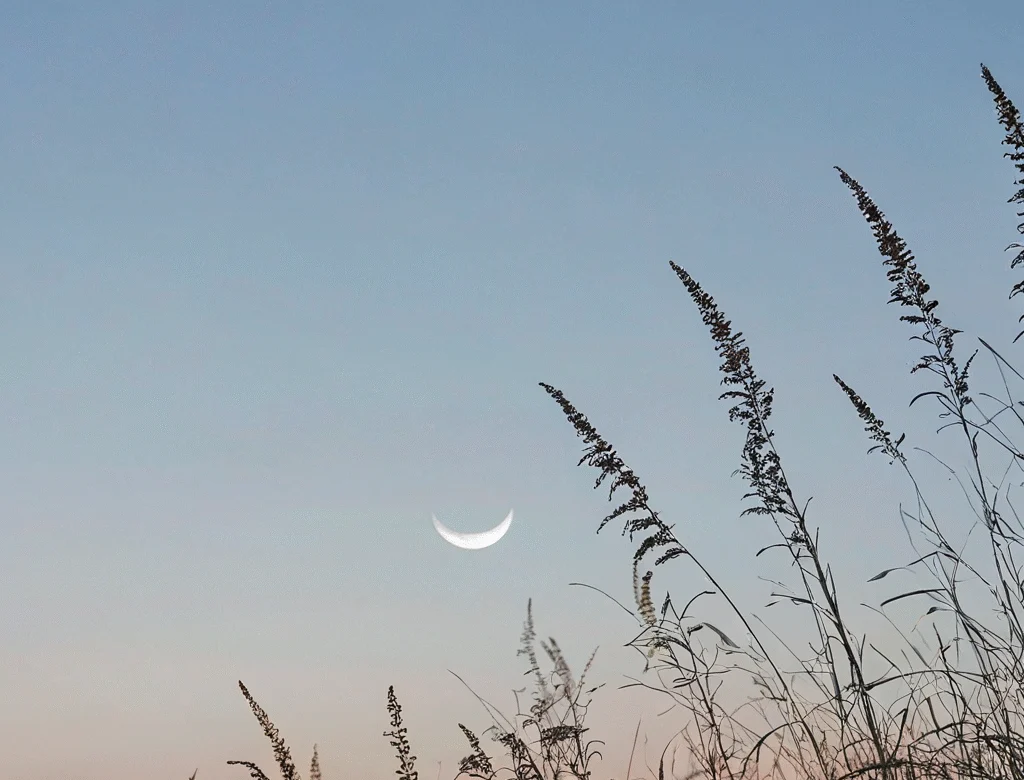 Eine offene Naturlandschaft bei Tageslicht — Beitragsbild zu „Abnehmender Mond“