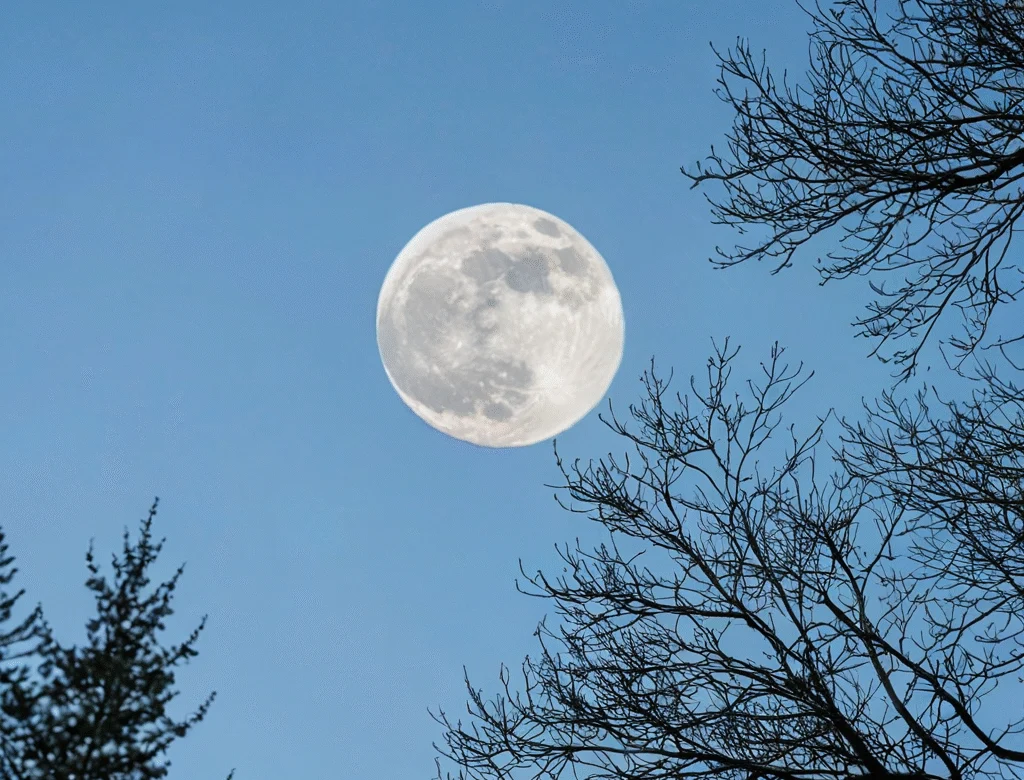 Eine offene Naturlandschaft bei Tageslicht — Beitragsbild zu „Neumond“