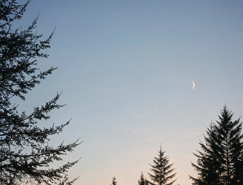 Eine offene Naturlandschaft bei Tageslicht — Beitragsbild zu „Zunehmender Mond“